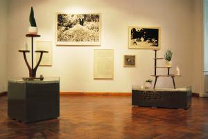 luana perilli - Silviculture (raptiformica) Silviculture (serviformica)