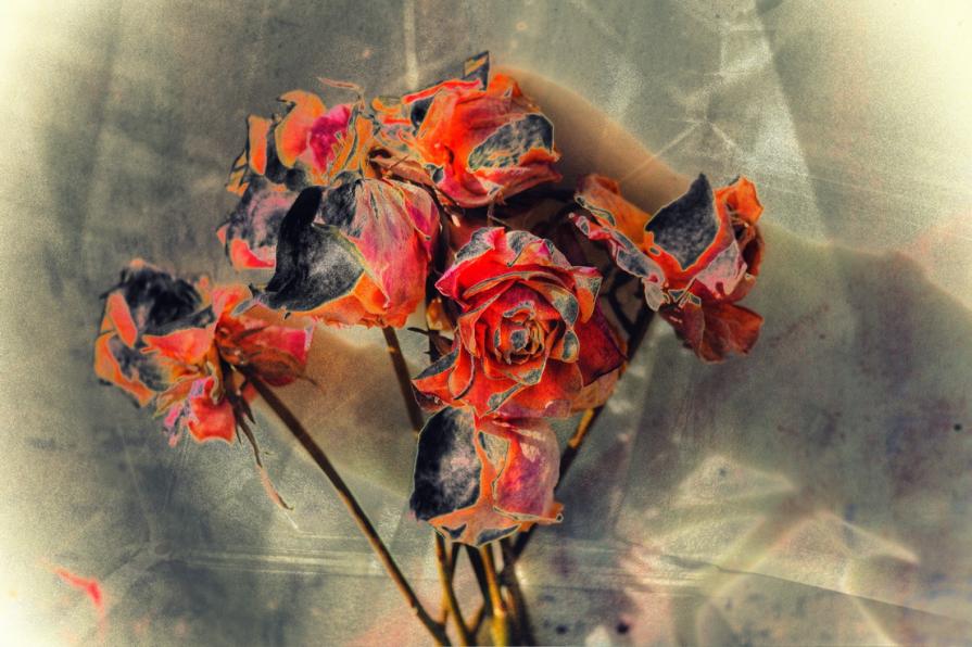 Rose appassite per anime tristi