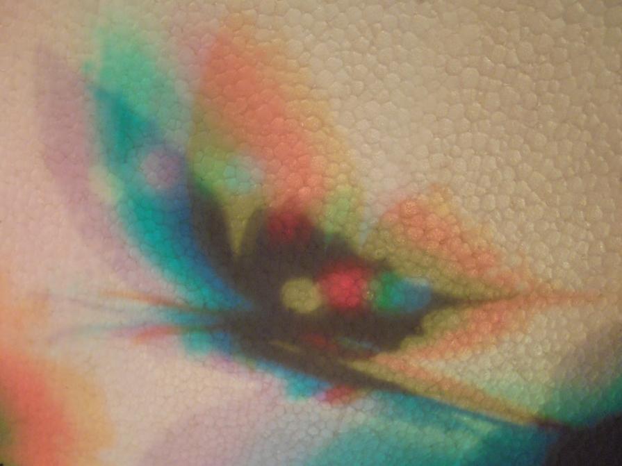 I COLORI DELLA BIODIVERSITÀ