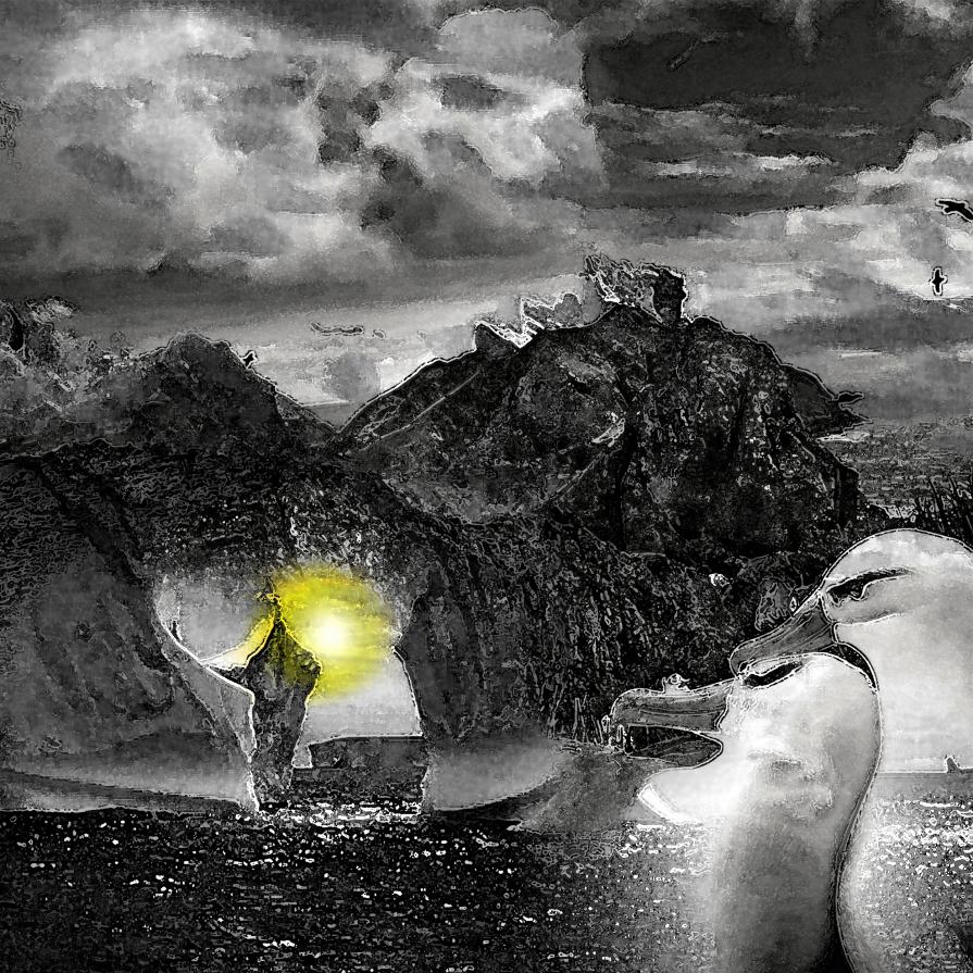 Un rapporto di coppia è come un giardino, Per crescere rigoglioso deve essere annaffiato regolarmente