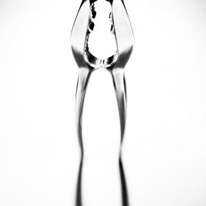 Nutcracker Nutcracker