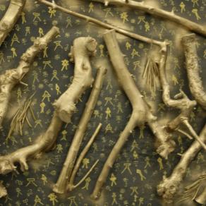 Xylella degli ulivi Xylella degli ulivi