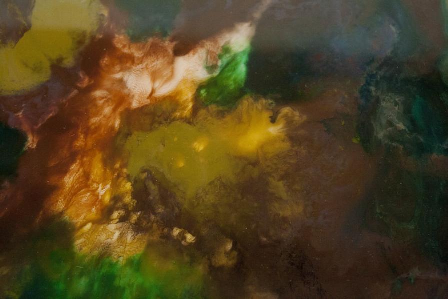 Terra|Macchia Vegetale