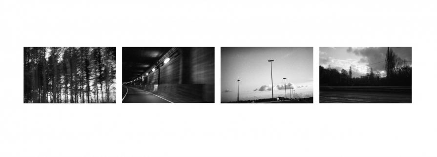 What divides us, what unites us