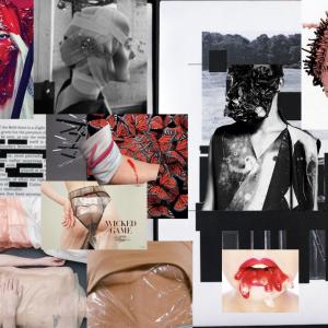 Swan series moodboard