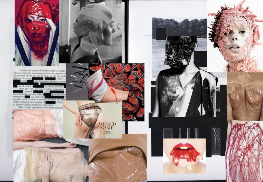 Swan series moodboard