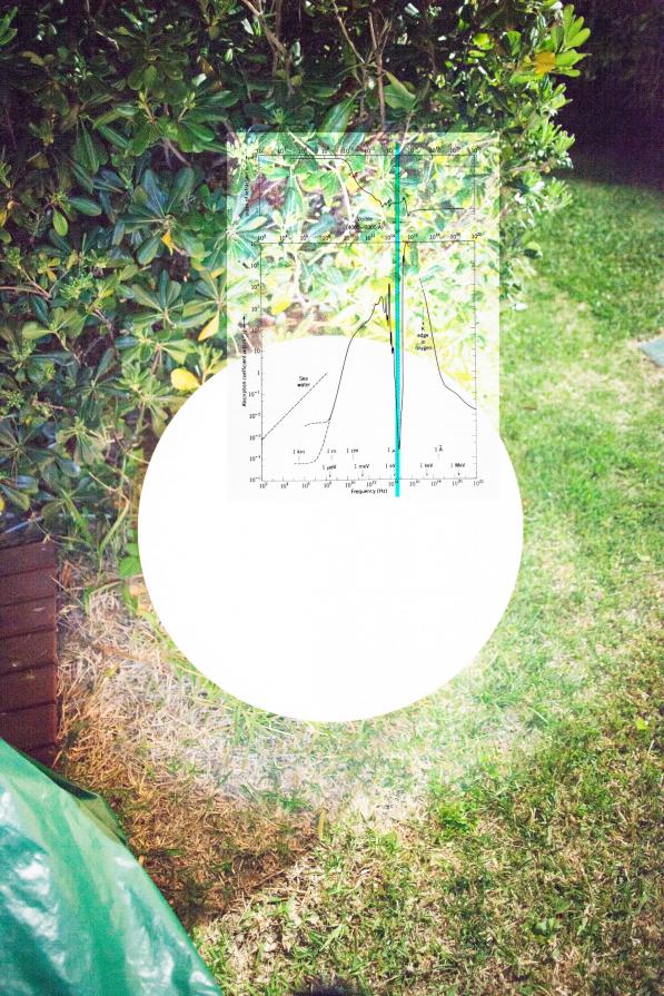 from the series "Edifying Thoughts of a Tobacco Smoker" from the series "Edifying Thoughts of a Tobacco Smoker"