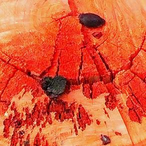 Passeggiando - Angelo mio ci sei  <3