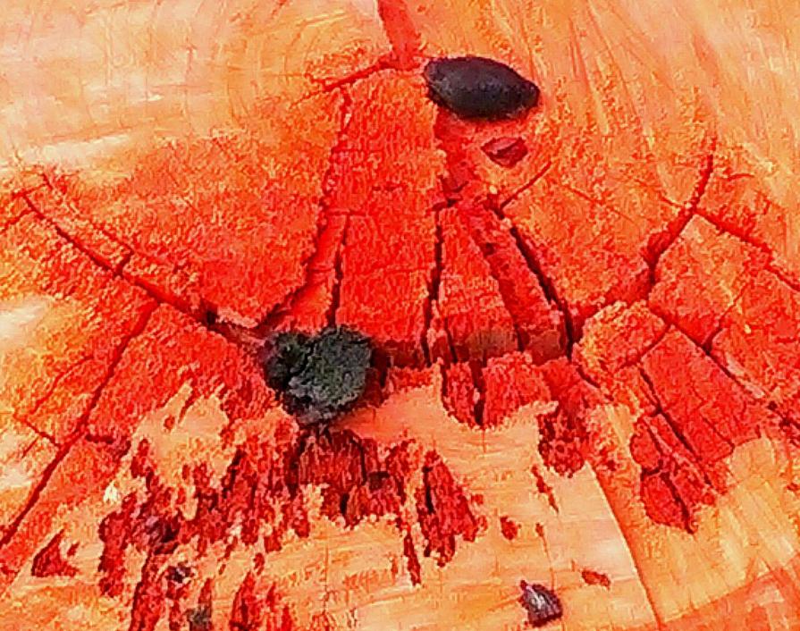 Passeggiando - Angelo mio ci sei  <3