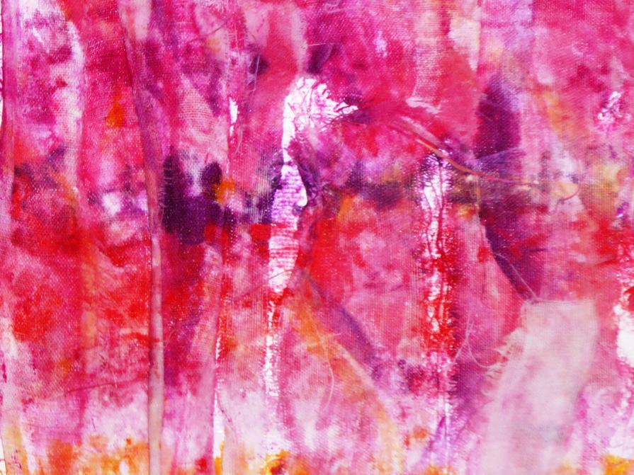 Come sudario -particolare