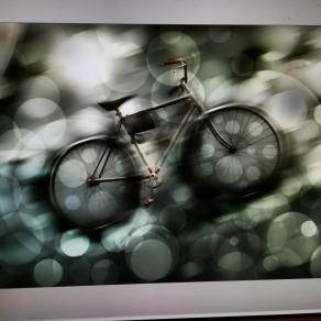 Hai voluto la bicicletta. Adesso pedala.