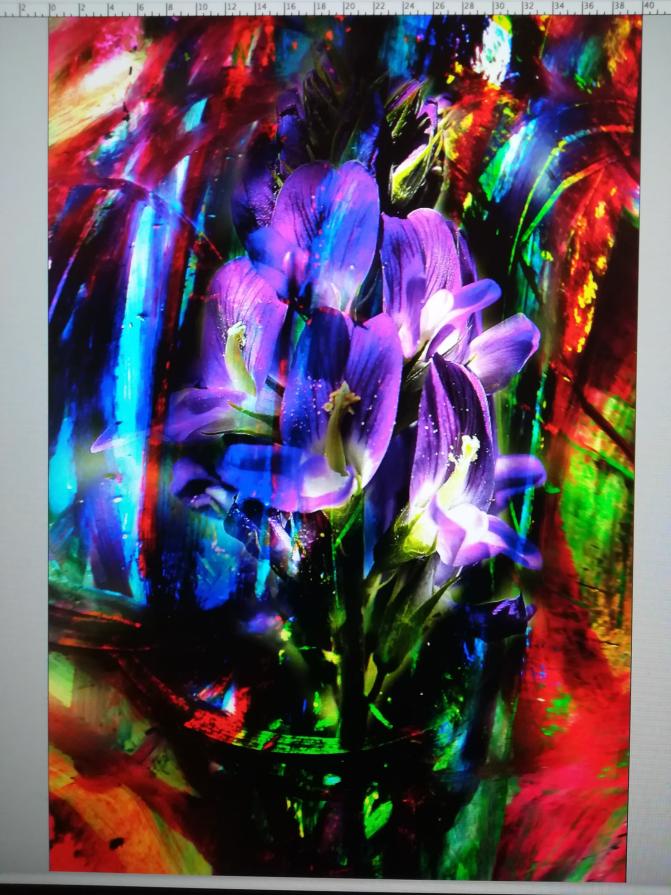 Erba medica morenica.