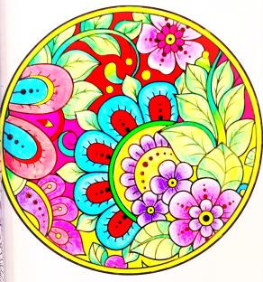 ... Flowers garden...!!!