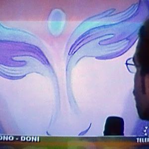 Alessio Atzeni su Teleromagna partecipazione televisiva 2 gennaio 2014