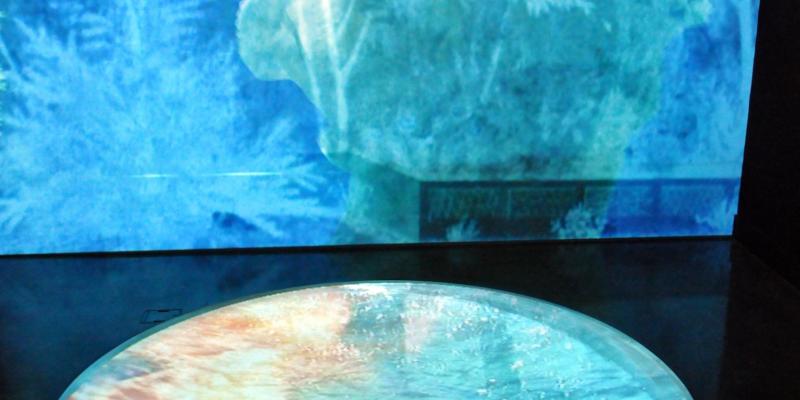 Currents; The Santa Fe International New Media Festival Currents; The Santa Fe International New Media Festival