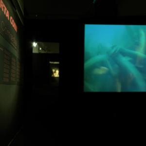 ROBERTA CONI-TENTAR LA CARNE inferno I