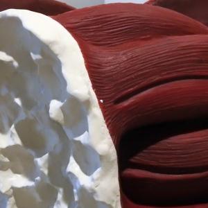 L'ENIGMA DEL COLORE alla grande con Borghi , Fornasari e altri..