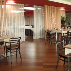 Exhibition by Manuela Nicolini