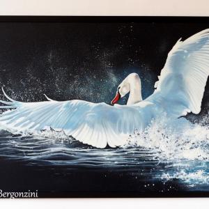 ANIMALS ART A PALAZZO DUCALE