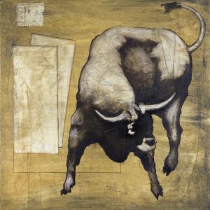 Tutto Maurizio in Veneto