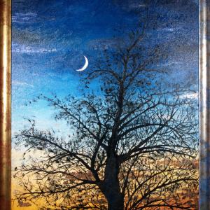 ALBERI , SOLO ALBERI , AMATI ALBERI .