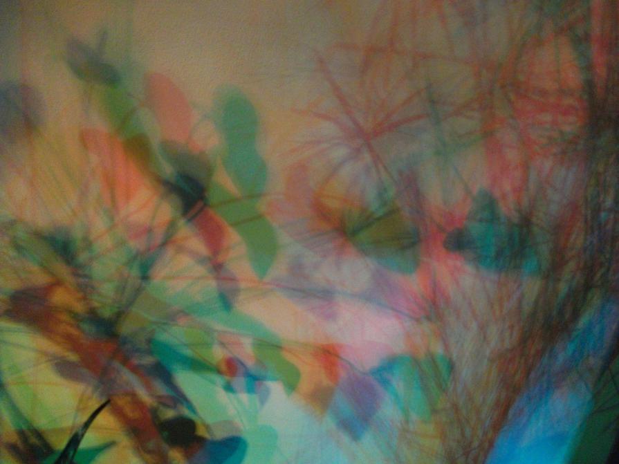 PREMIO PRIMAL ENERGY INTERNATIONAL ART PRIZE 2015