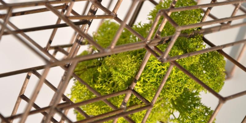 Città Bioma Città Bioma