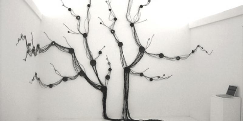 WHERE THE ROSES GROW WHERE THE ROSES GROW