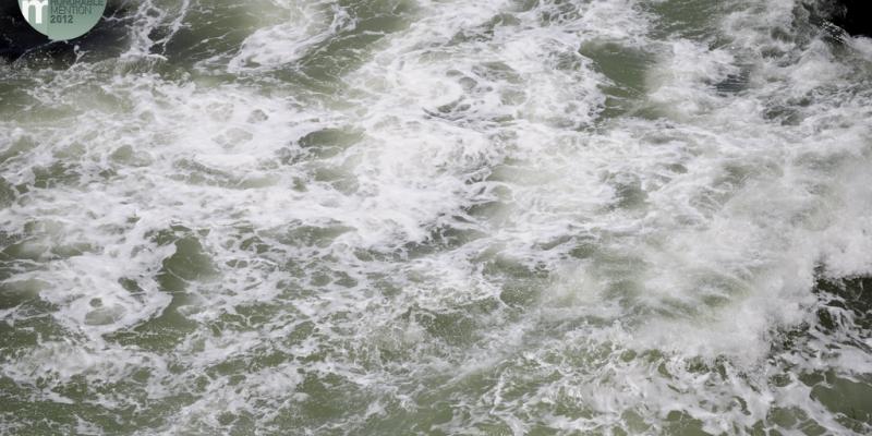 menzioni d'onore all' "International Photography Awards"