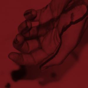 ARTE A MANTOVA, 2000-2010  Persistenze Verifiche e Nuove Presenze