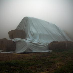 Quiet Wait (Attesa Silente) Oblivion (Oblio)