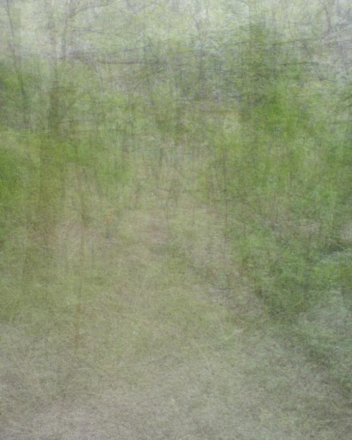 Landscape - Stratifications series