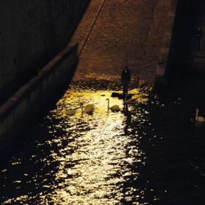 HOW TO DISAPPEAR COMPLETELY / POEM # 21