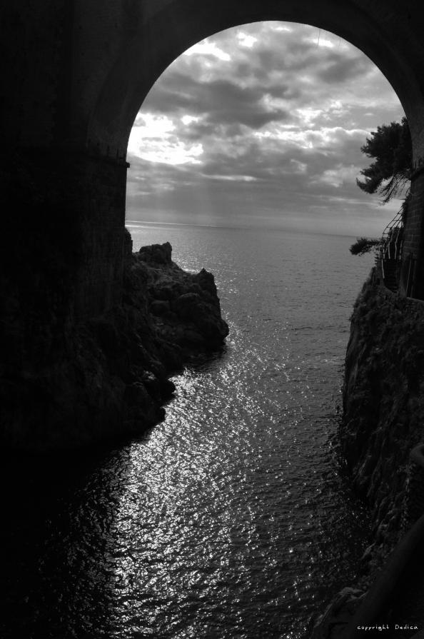 La forza della natura La forza della natura