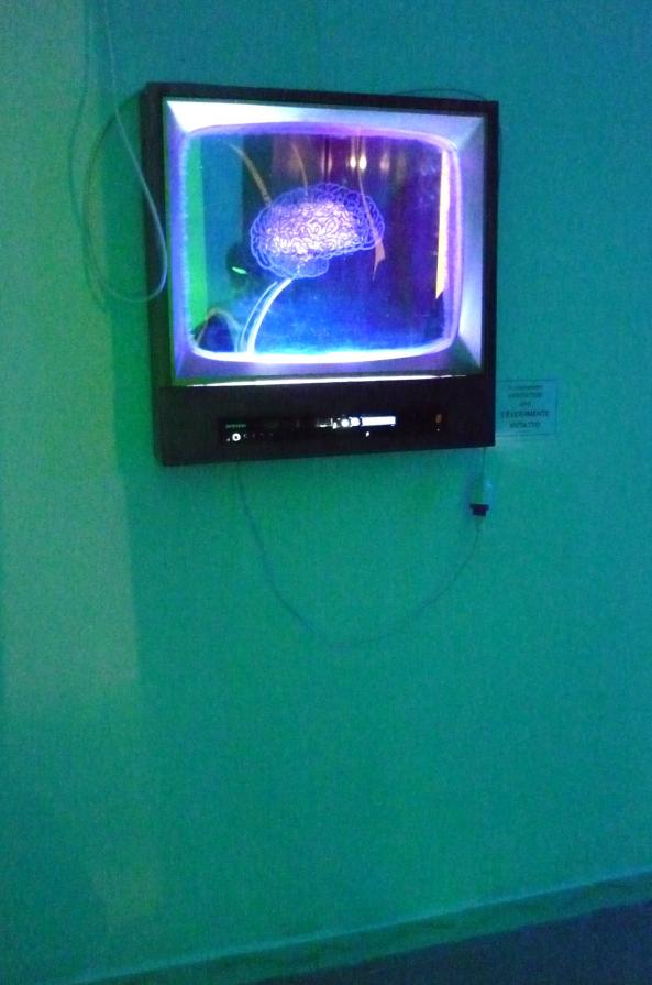 VIOLETTO NEL PENSIERO-Elsa Lumière & Cybermotors