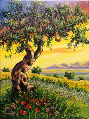 Antonino Cammarata (Italia) - Vecchio ulivo - olio su tela - 30 x 40