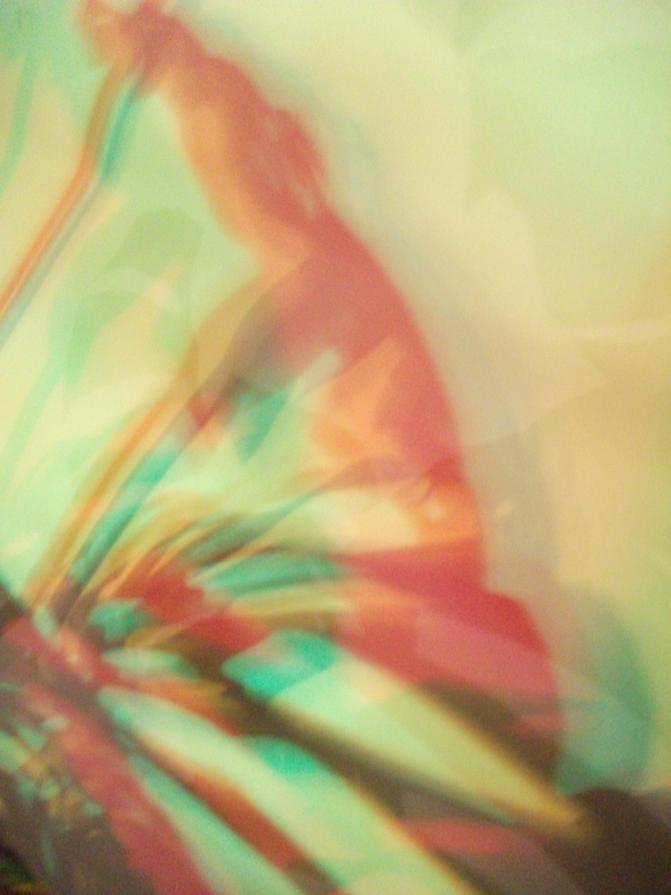 I colori della biodiversità -2015