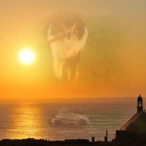 . . . Da Lassù Mi Regali La Percezione  Della Tua Presenza !!! . . . 