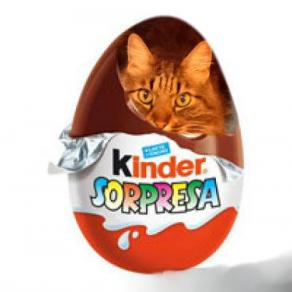 un tempo felice, un tempo felice !!!