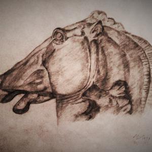 studio per cavallo(a matita)