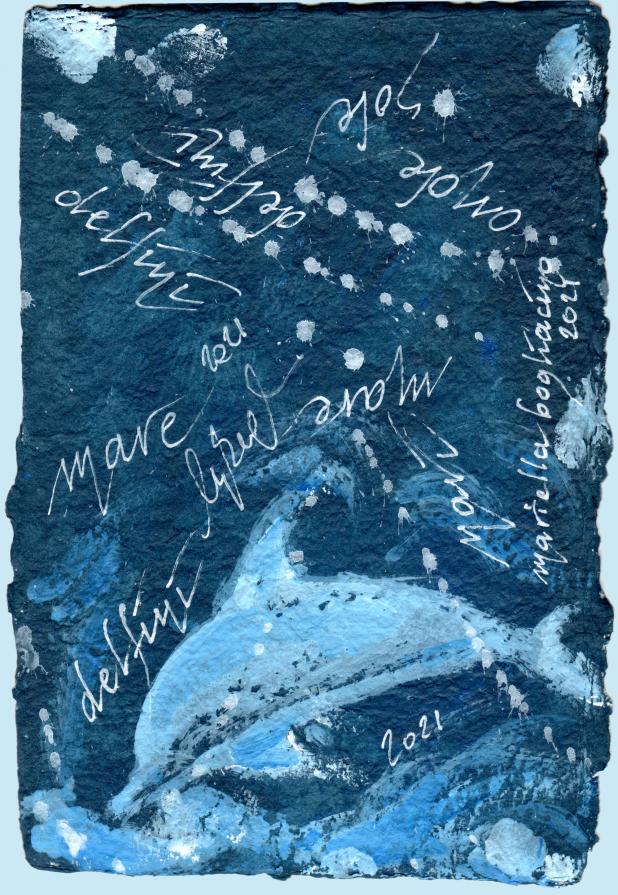 mariella bogliacino - Mare-Delfini 2021 - Lega Navale Italiana - sezione di Vicenza