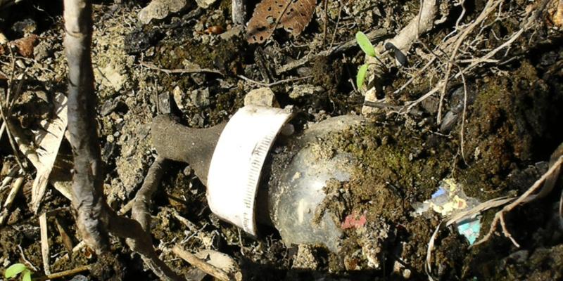 Drawing for Art '10; A Passion for Art