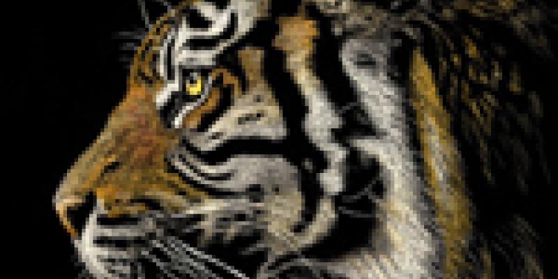 Nature 2015 Art Exhibition Now Online Ready to View