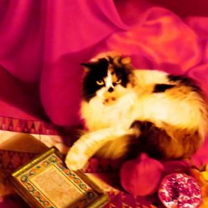 TRA REALISMO E IPERREALISMO al CLUB LA MERIDIANA DI MODENA