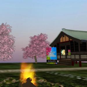 mostre della grifio art gallery a cui sto partecipando : foto