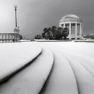 PREMIO ROTONDA 2011 CITTA? DI LIVORNO