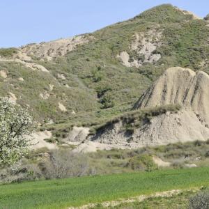 Italia. Basilicata & Campania. Abbandoni e riscoperte