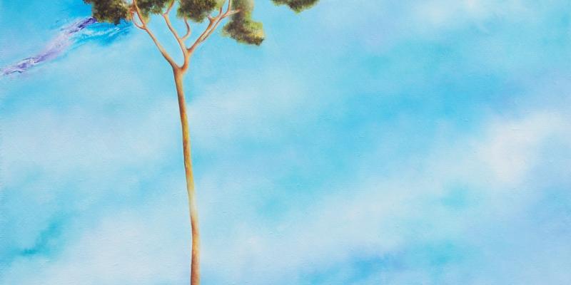 "Pensami": personale di Riccardo Corti al Museo della Marineria di Viareggio "Pensami": personale di Riccardo Corti al Museo della Marineria di Viareggio