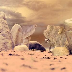 Naturacultura - Snaturati 