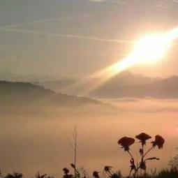 Pier Pietro Brunelli